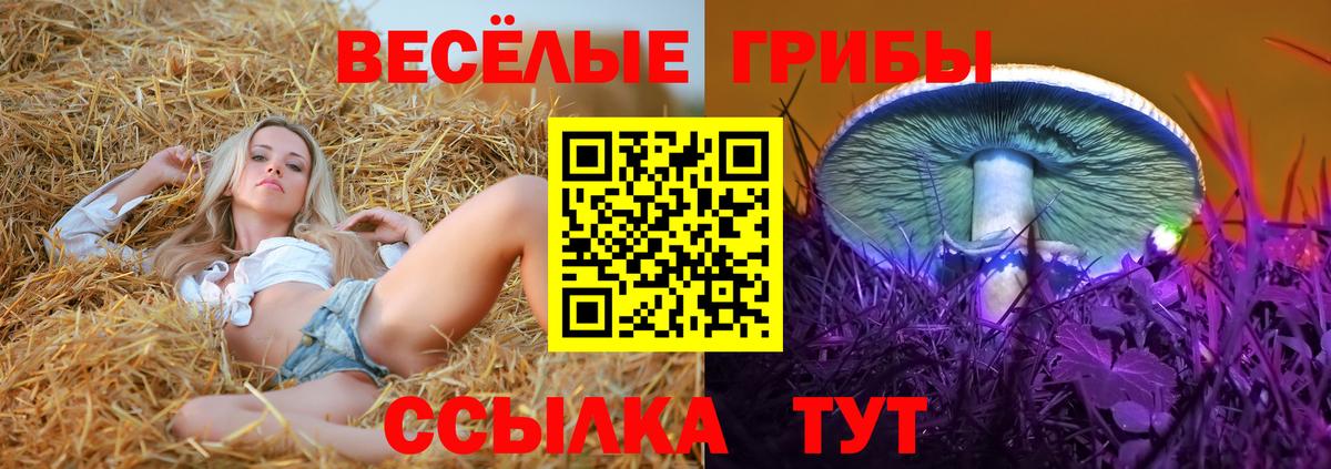 Галлюциногенные грибы ЛСД  Вход с VPN  Баксан 
