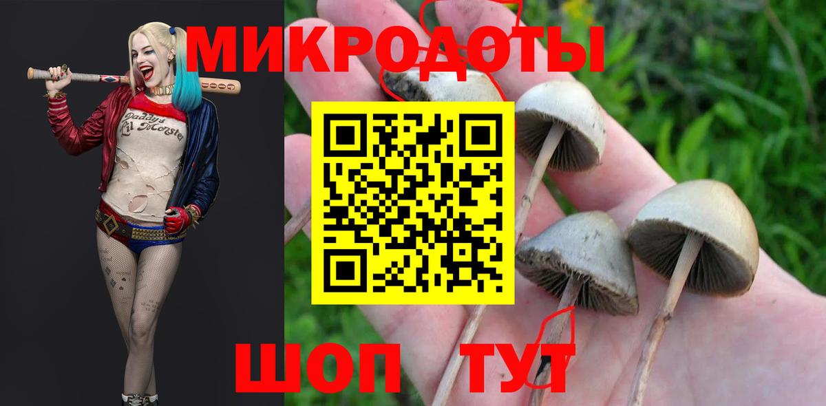 Галлюциногенные грибы Cubensis Баксан